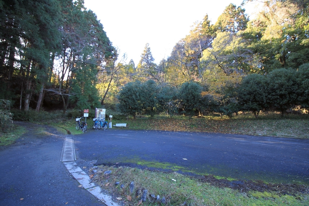 f:id:Gorgon:20181216111924j:plain f:id:Gorgon:20181216111924j:plain