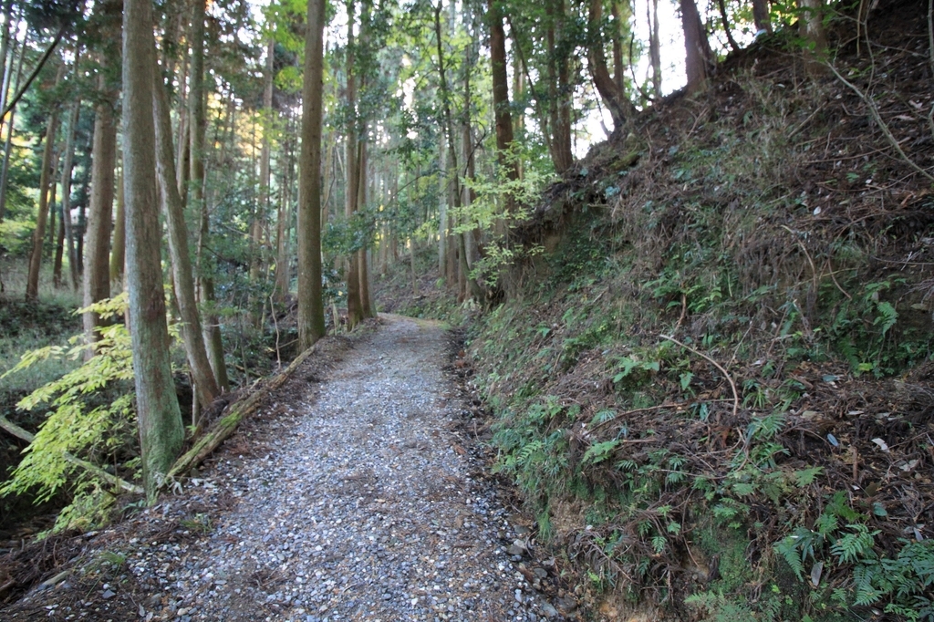 f:id:Gorgon:20181216113243j:plain f:id:Gorgon:20181216113243j:plain