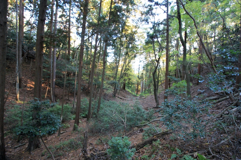 f:id:Gorgon:20181221201613j:plain f:id:Gorgon:20181221201613j:plain