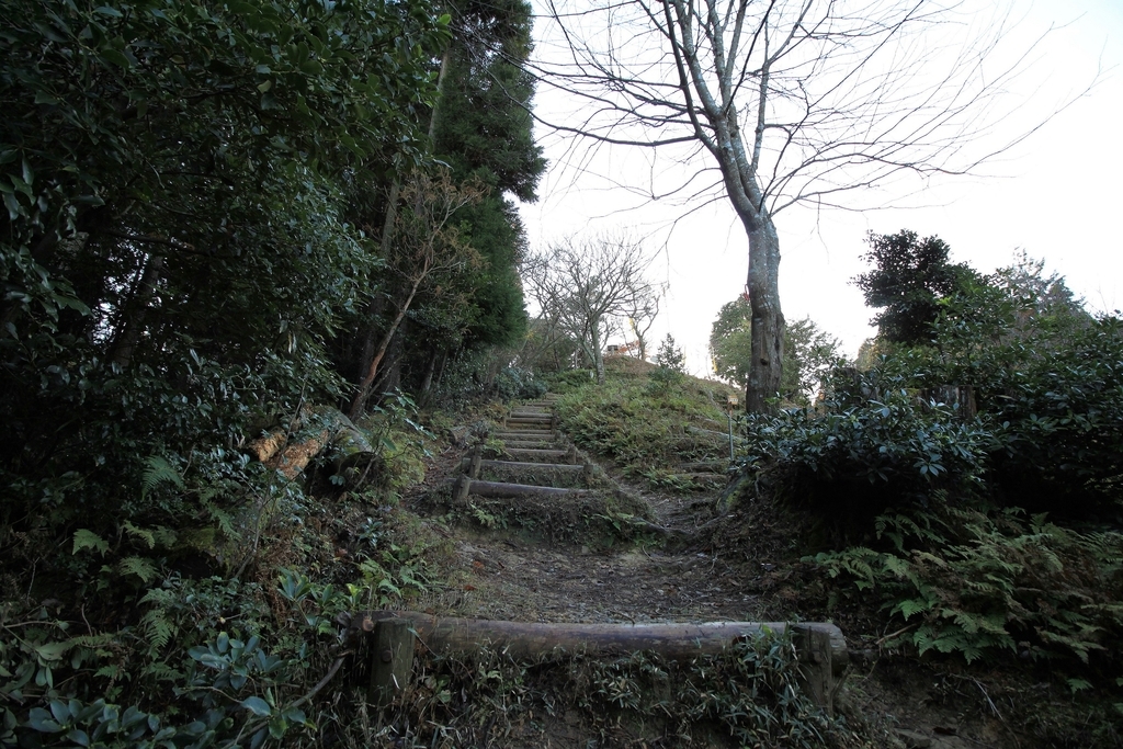 f:id:Gorgon:20181221202436j:plain f:id:Gorgon:20181221202436j:plain