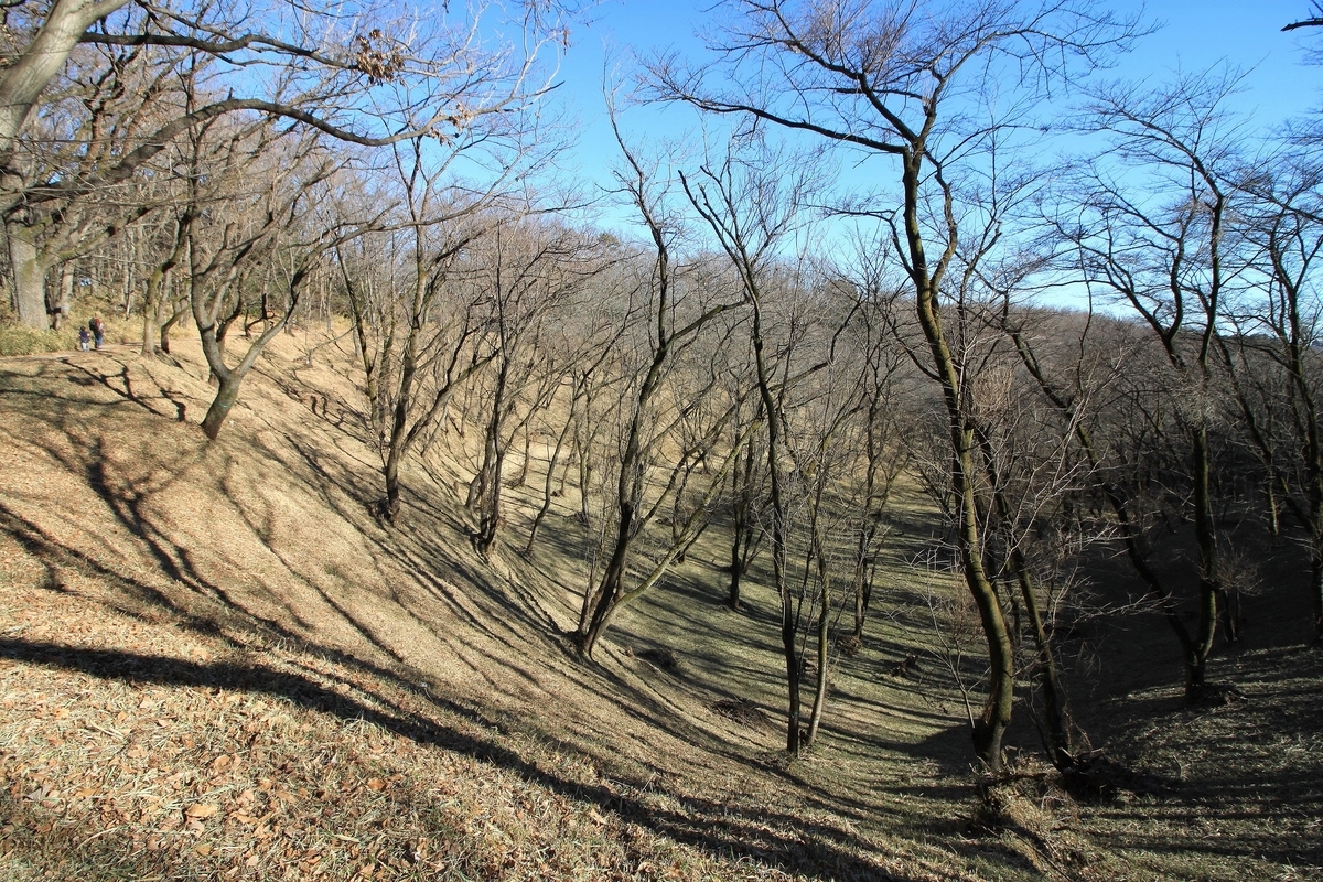 f:id:Gorgon:20190501183017j:plain