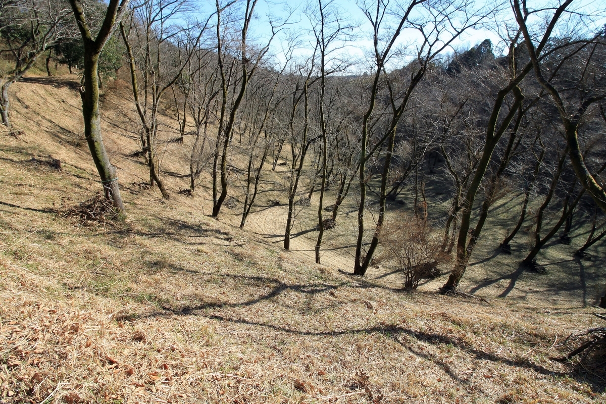 f:id:Gorgon:20190501184144j:plain