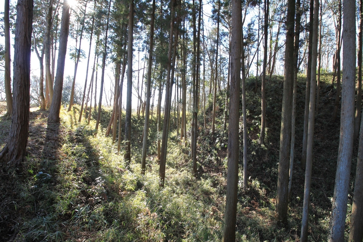 f:id:Gorgon:20190505101425j:plain