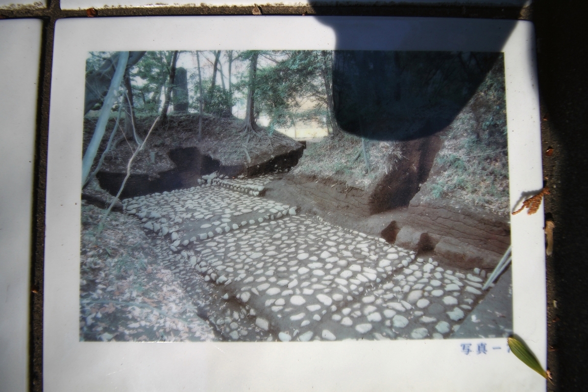 f:id:Gorgon:20190505113547j:plain