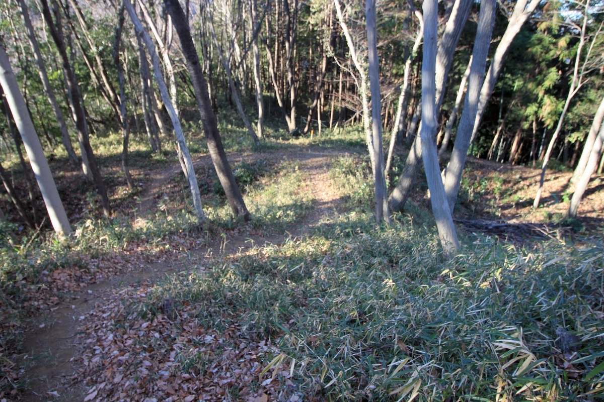 f:id:Gorgon:20190505183538j:plain