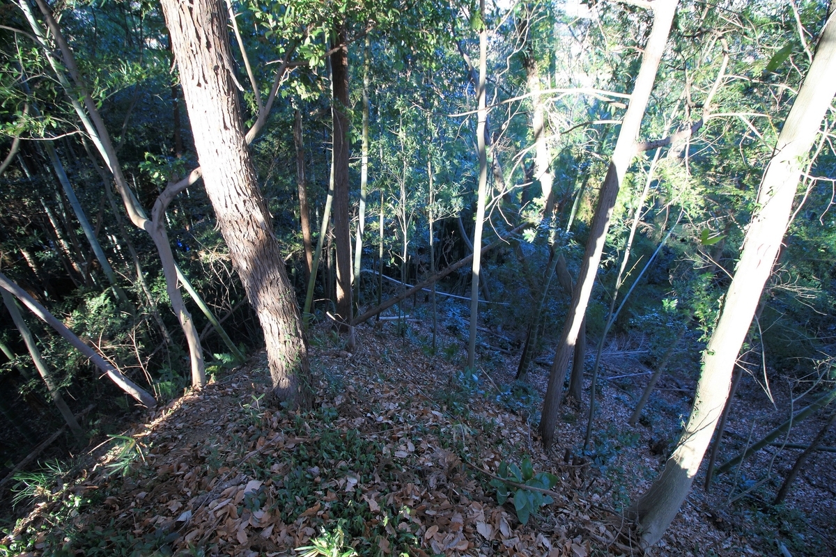 f:id:Gorgon:20190505184839j:plain