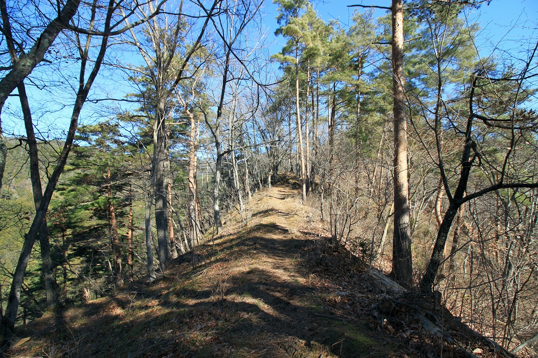 f:id:Gorgon:20200426114114j:plain