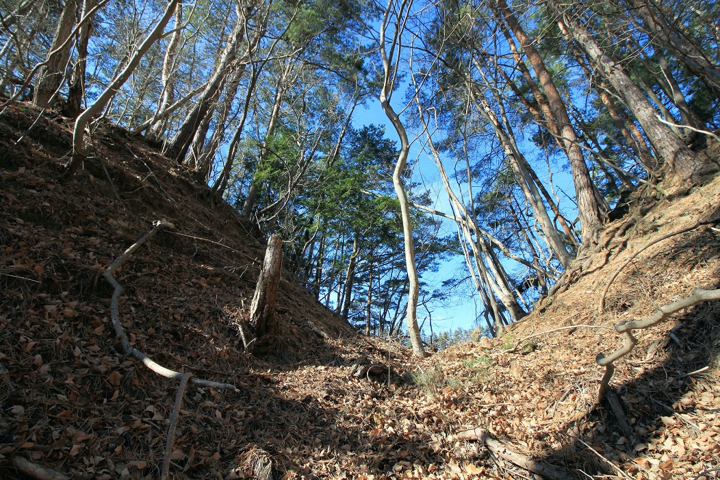 f:id:Gorgon:20200426145229j:plain