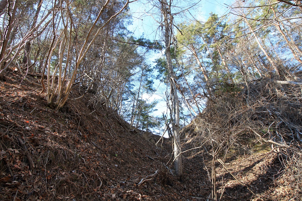 f:id:Gorgon:20200426151255j:plain