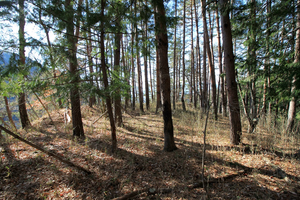 f:id:Gorgon:20200426162442j:plain