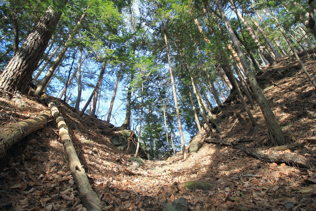 f:id:Gorgon:20200426164956j:plain