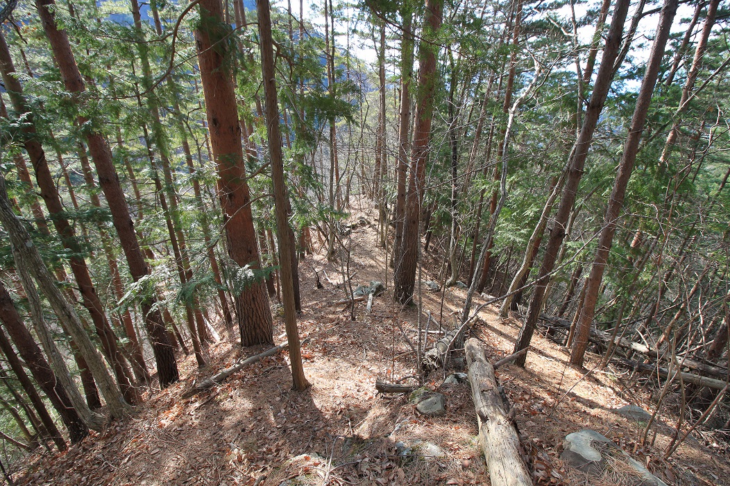 f:id:Gorgon:20200426165747j:plain