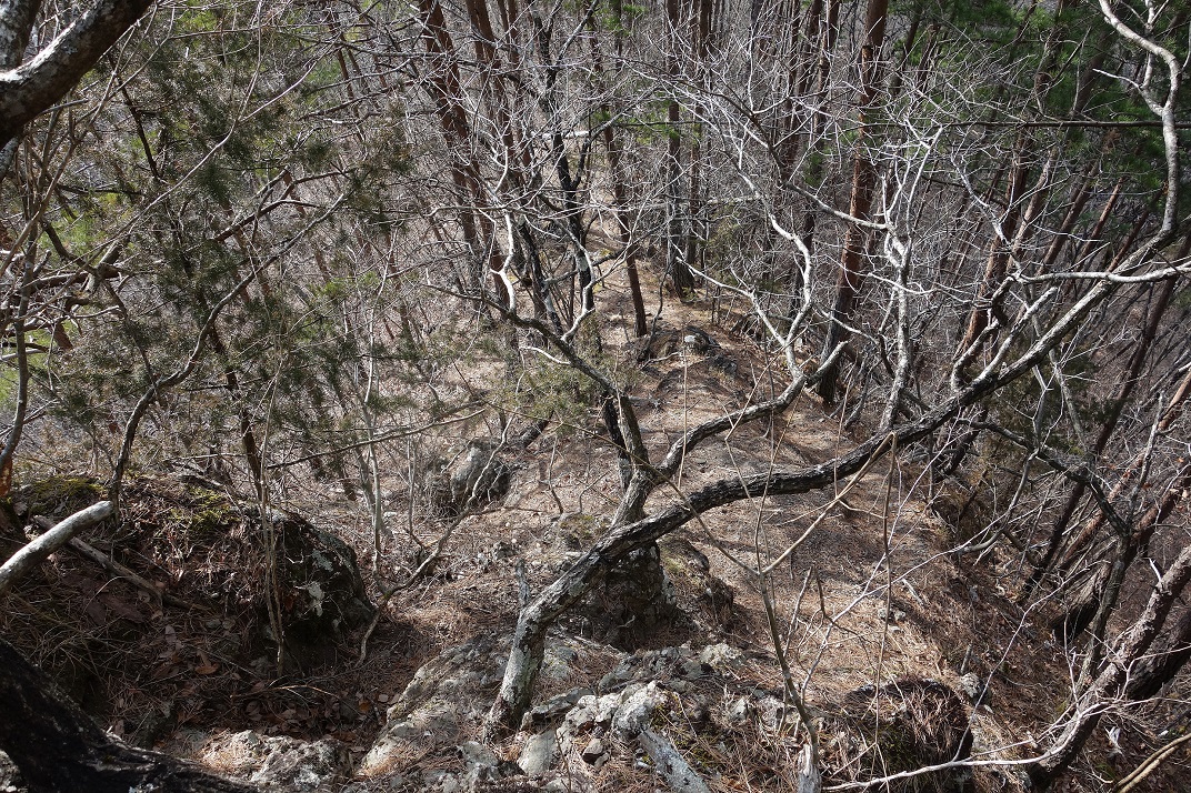 f:id:Gorgon:20200426170750j:plain