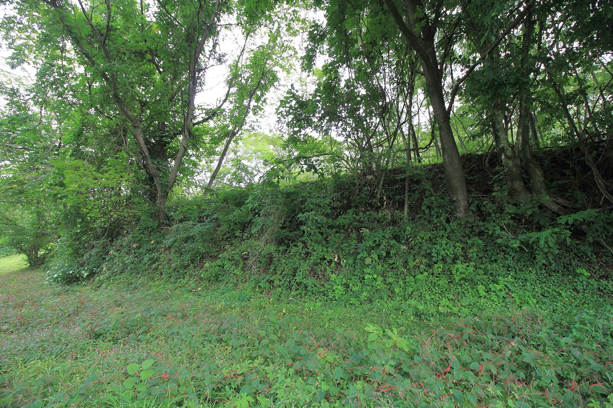 f:id:Gorgon:20201115184711j:plain