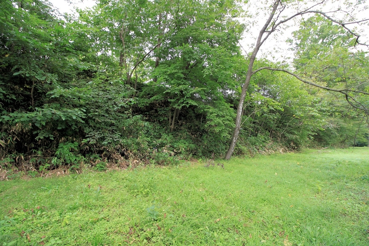 f:id:Gorgon:20201115185444j:plain