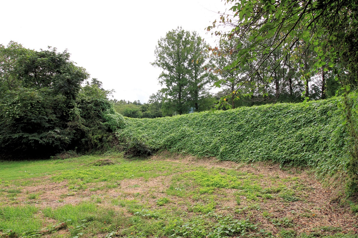 f:id:Gorgon:20201115192237j:plain