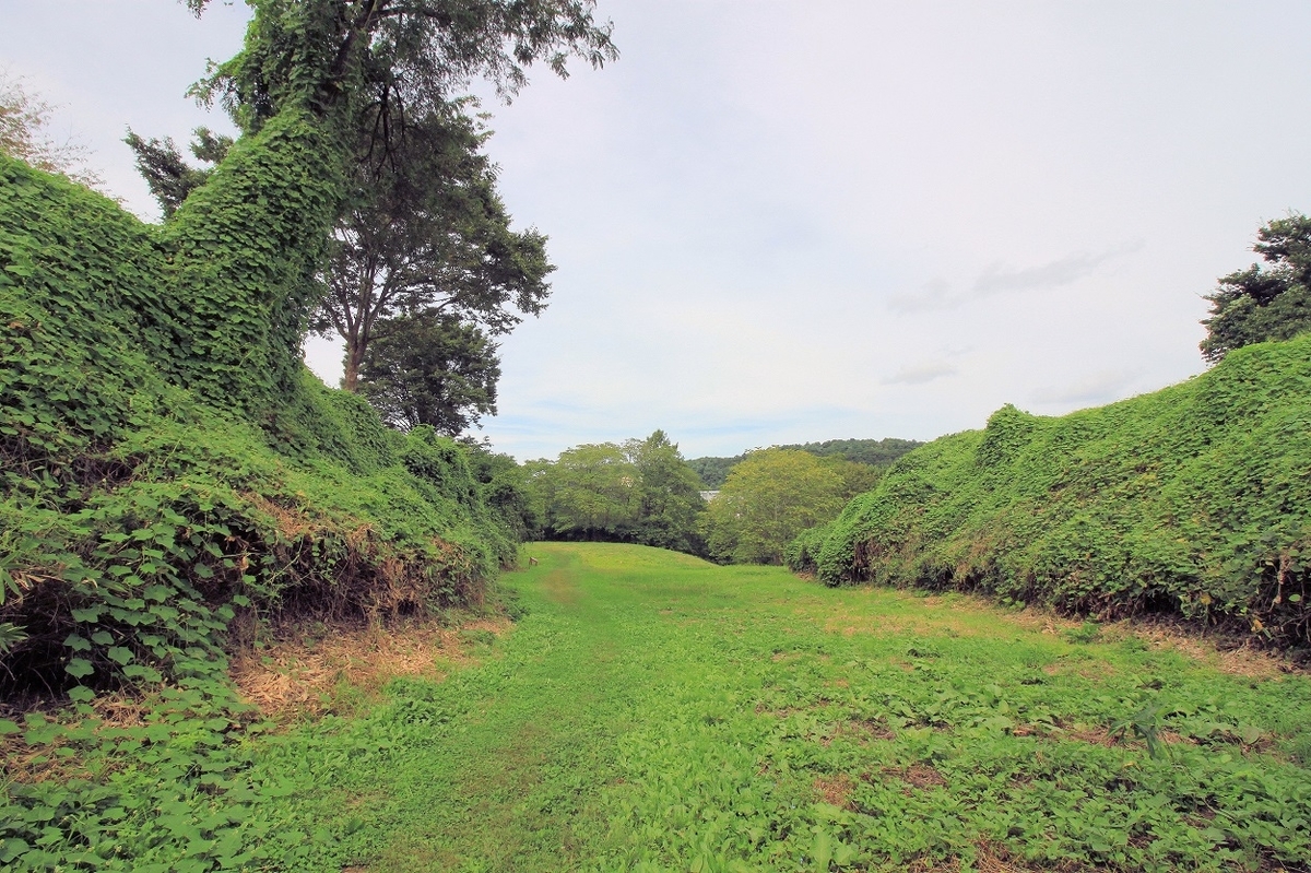 f:id:Gorgon:20201115194151j:plain