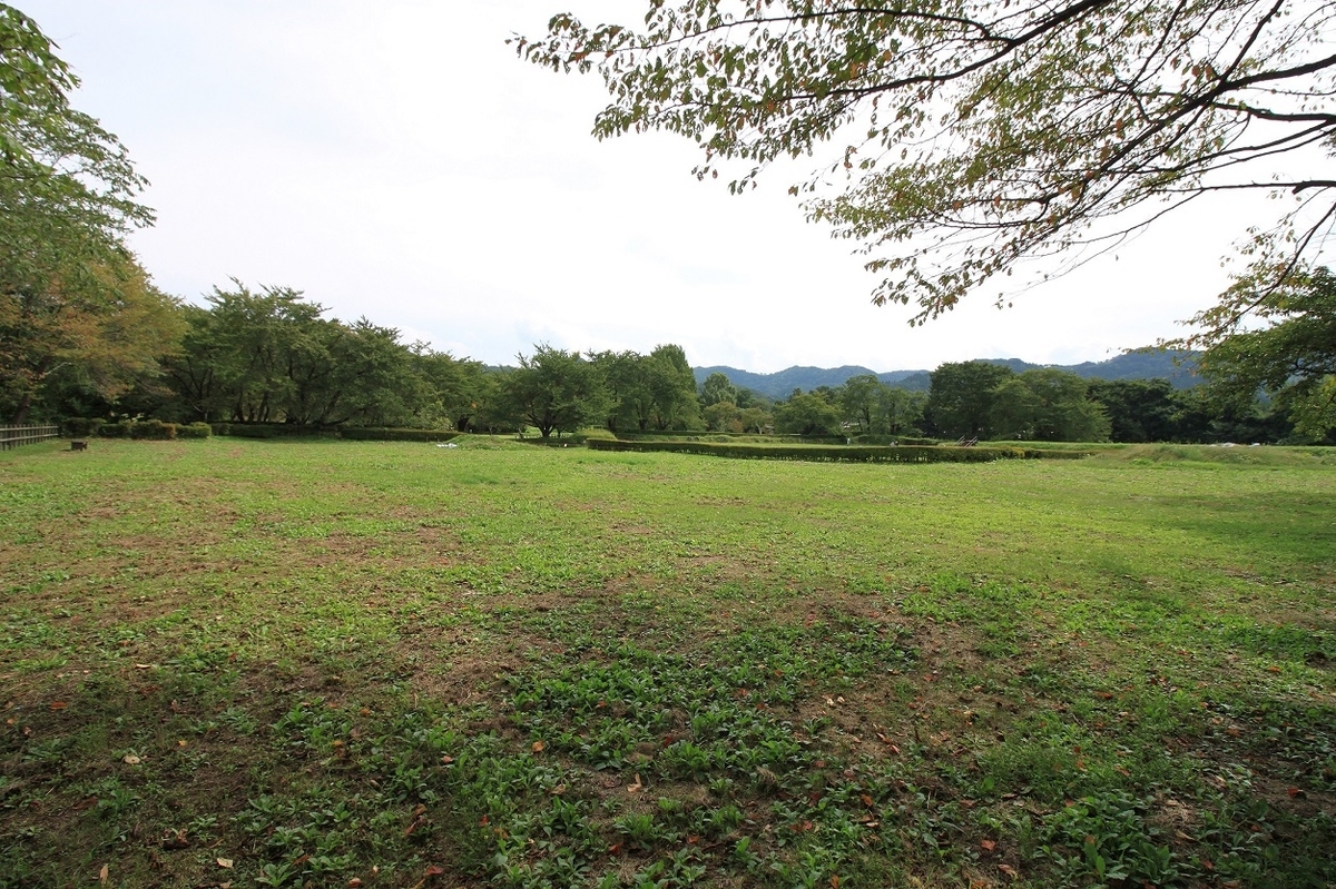 f:id:Gorgon:20201115214125j:plain