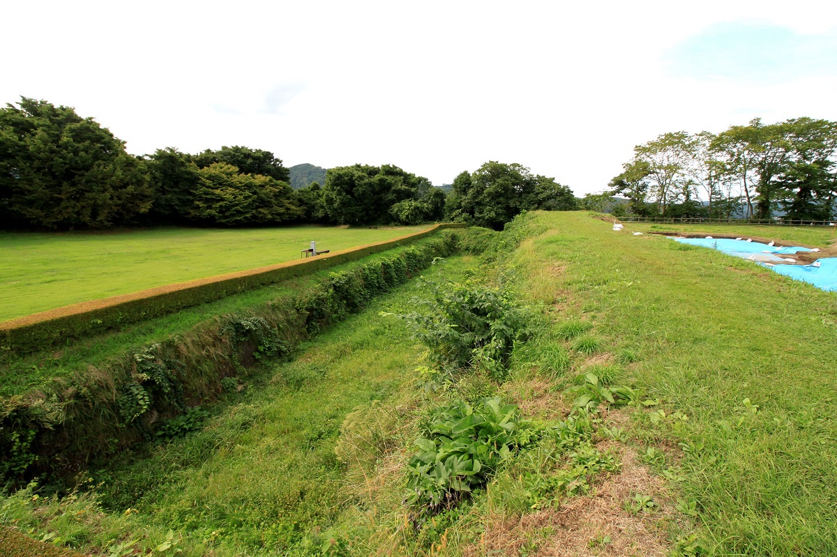 f:id:Gorgon:20201115215450j:plain