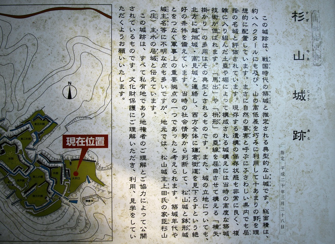 f:id:Gorgon:20210123234504j:plain