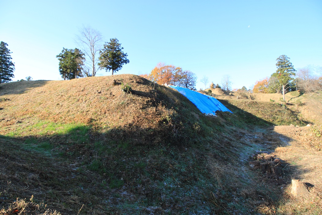 f:id:Gorgon:20210123234742j:plain