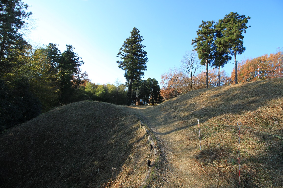 f:id:Gorgon:20210123235337j:plain