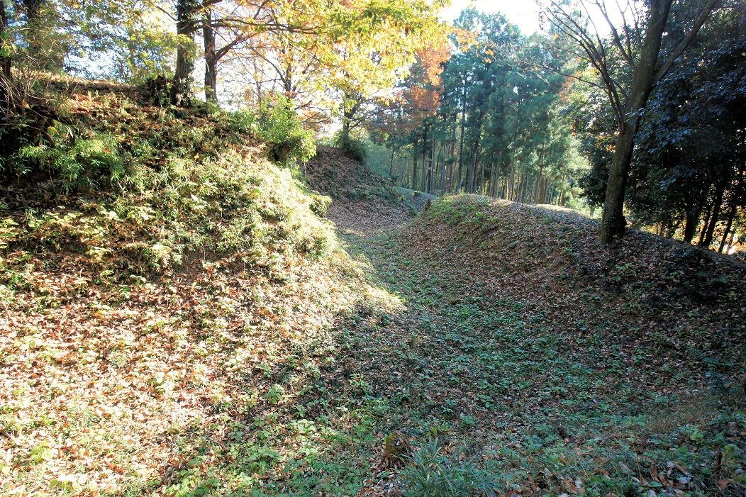 f:id:Gorgon:20210124172849j:plain