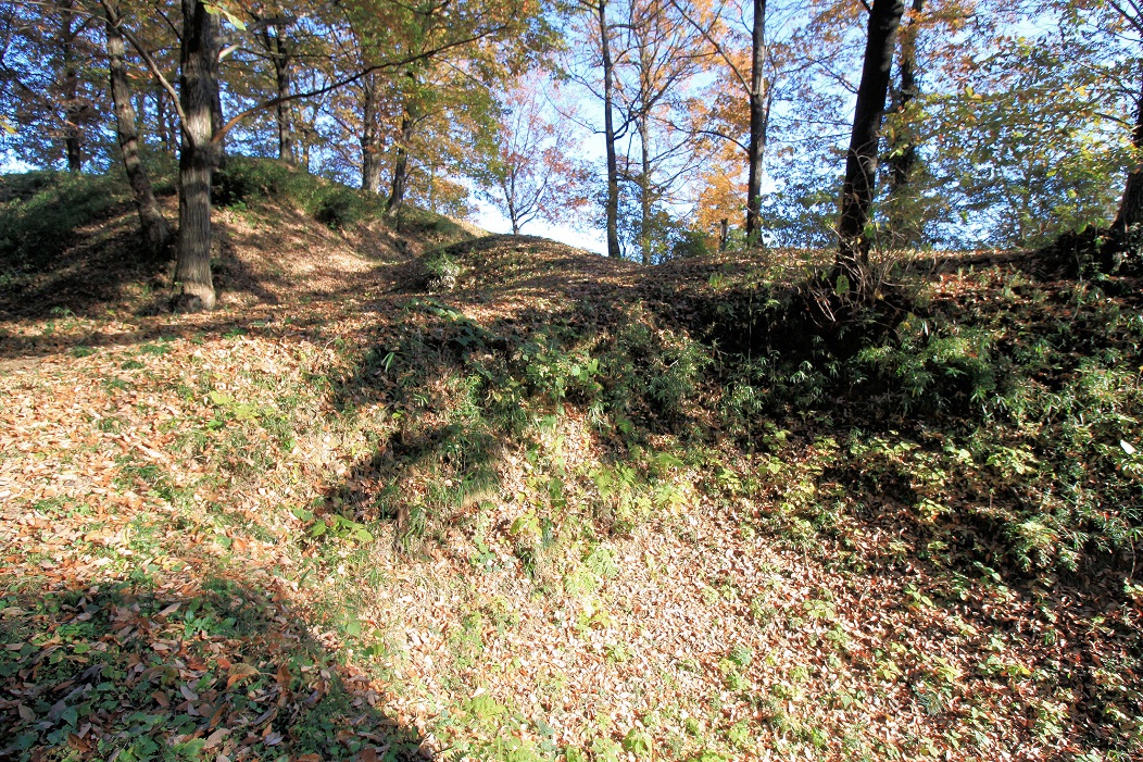 f:id:Gorgon:20210124173100j:plain