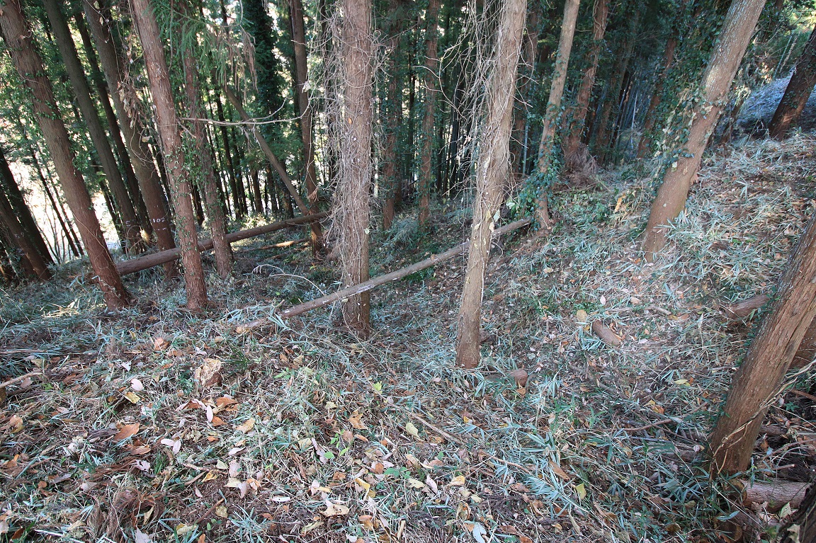 f:id:Gorgon:20210124173627j:plain