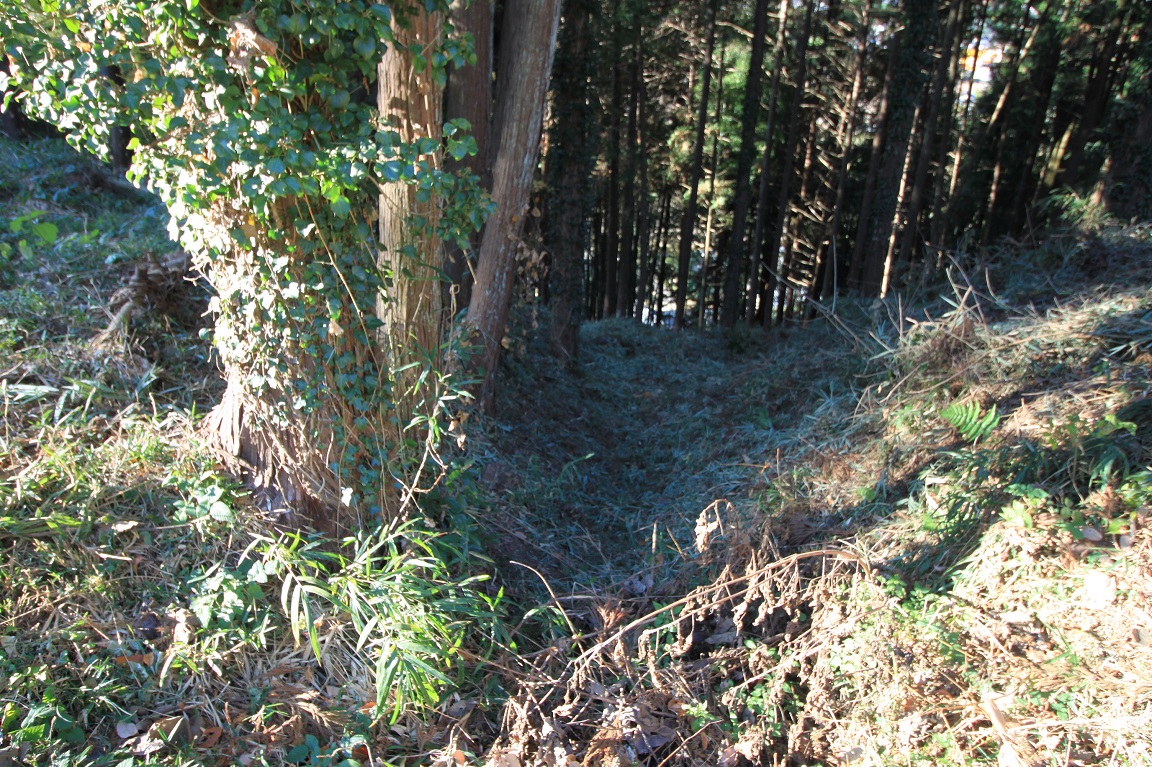 f:id:Gorgon:20210124184742j:plain