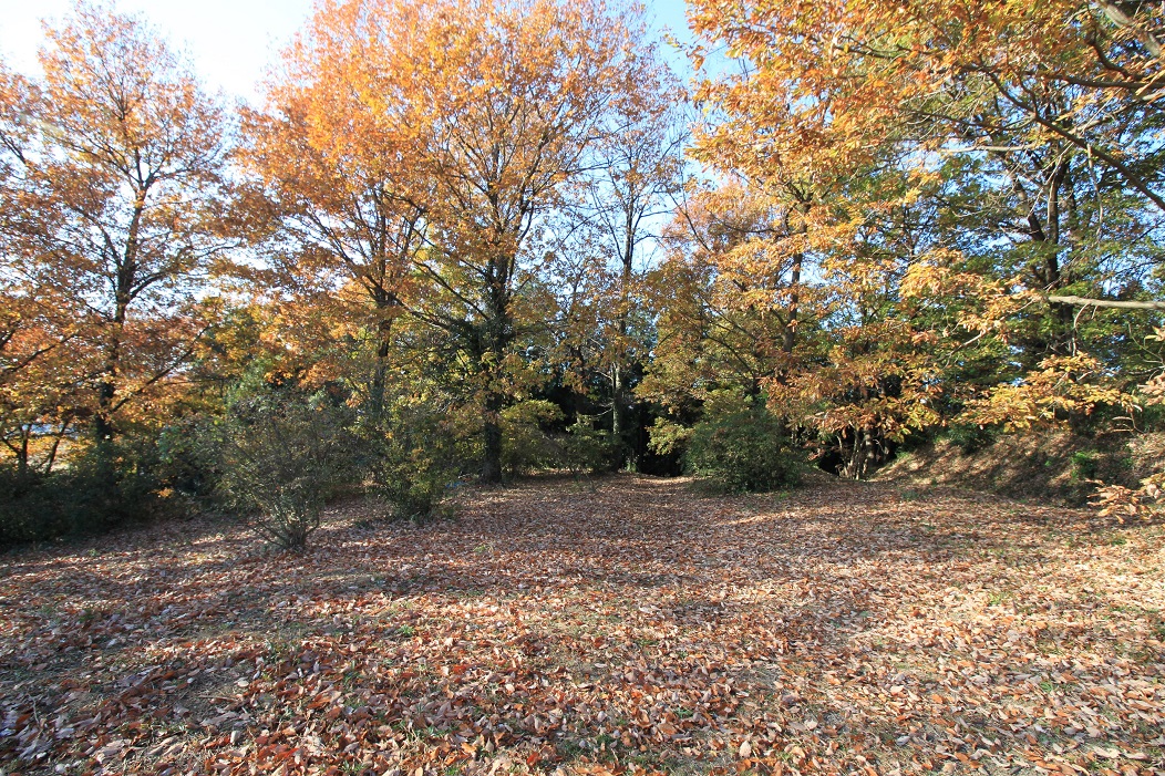 f:id:Gorgon:20210124190301j:plain