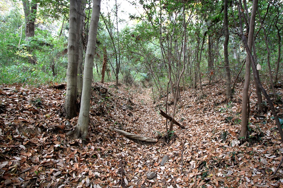 f:id:Gorgon:20210314094345j:plain