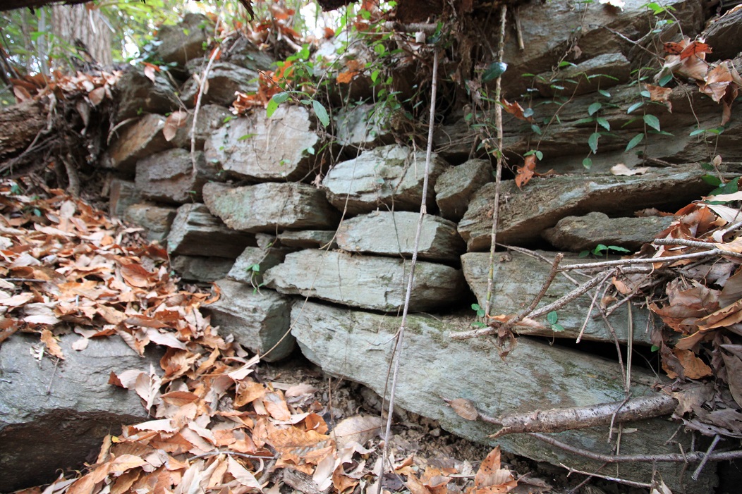 f:id:Gorgon:20210314094921j:plain