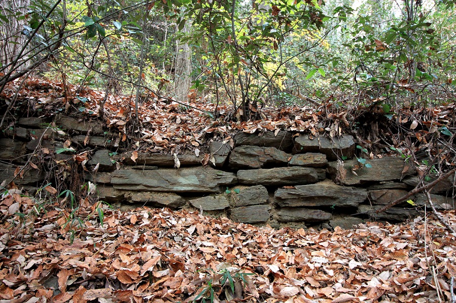 f:id:Gorgon:20210314094954j:plain