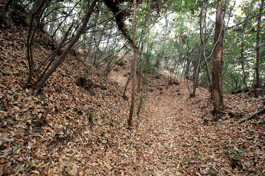 f:id:Gorgon:20210314095911j:plain