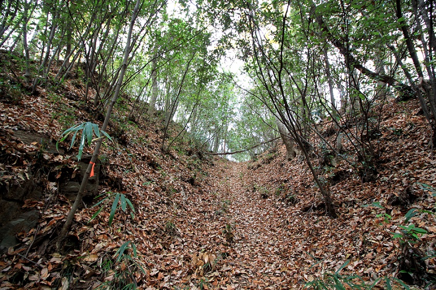 f:id:Gorgon:20210314100504j:plain