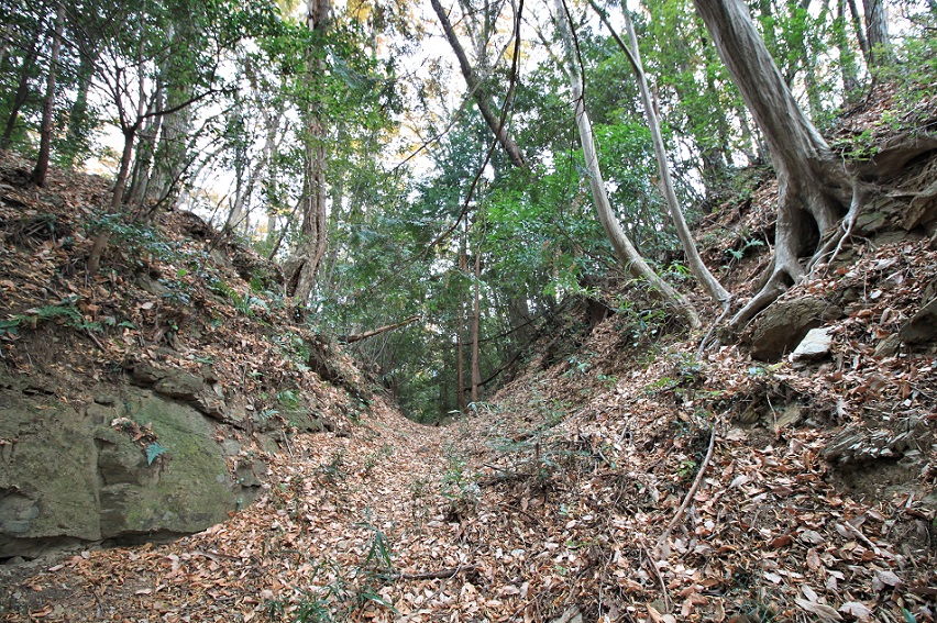 f:id:Gorgon:20210314100547j:plain