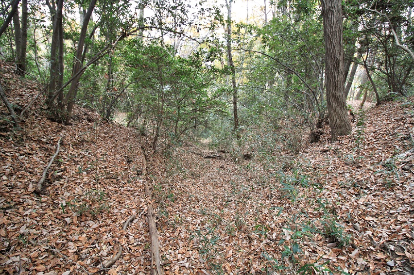 f:id:Gorgon:20210314101644j:plain