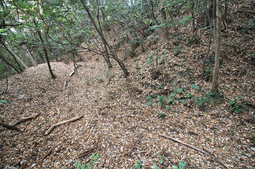 f:id:Gorgon:20210314102153j:plain