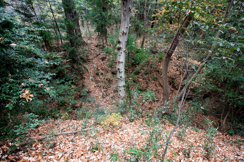 f:id:Gorgon:20210314102929j:plain