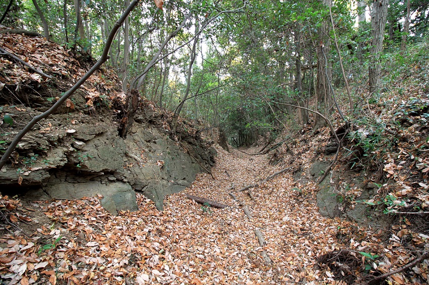 f:id:Gorgon:20210314103600j:plain