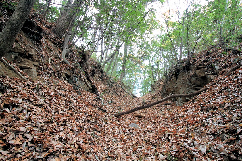 f:id:Gorgon:20210314103841j:plain