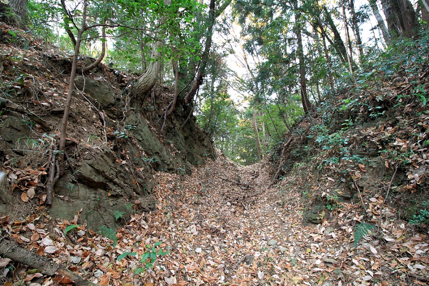 f:id:Gorgon:20210314104706j:plain