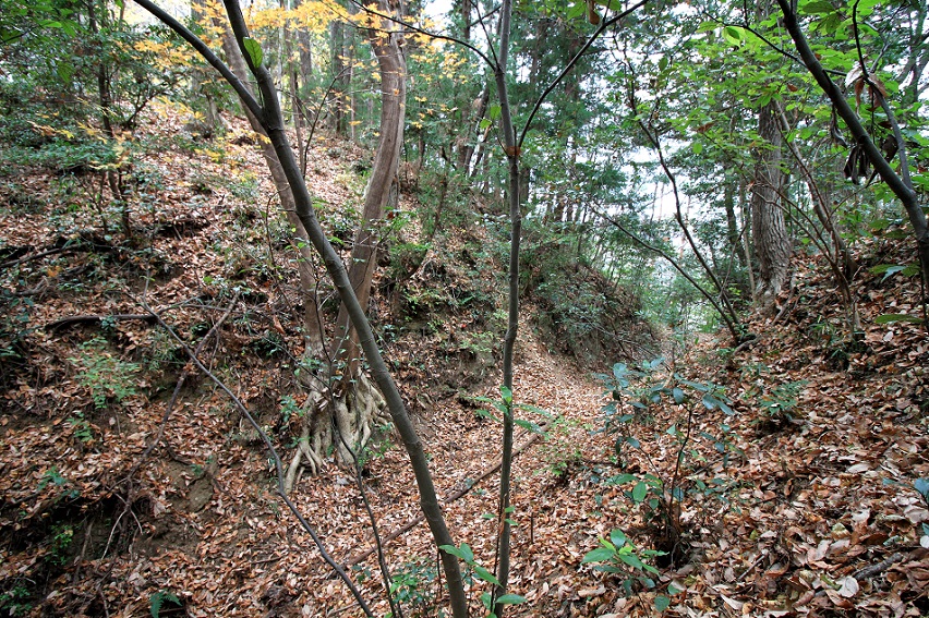 f:id:Gorgon:20210314105421j:plain