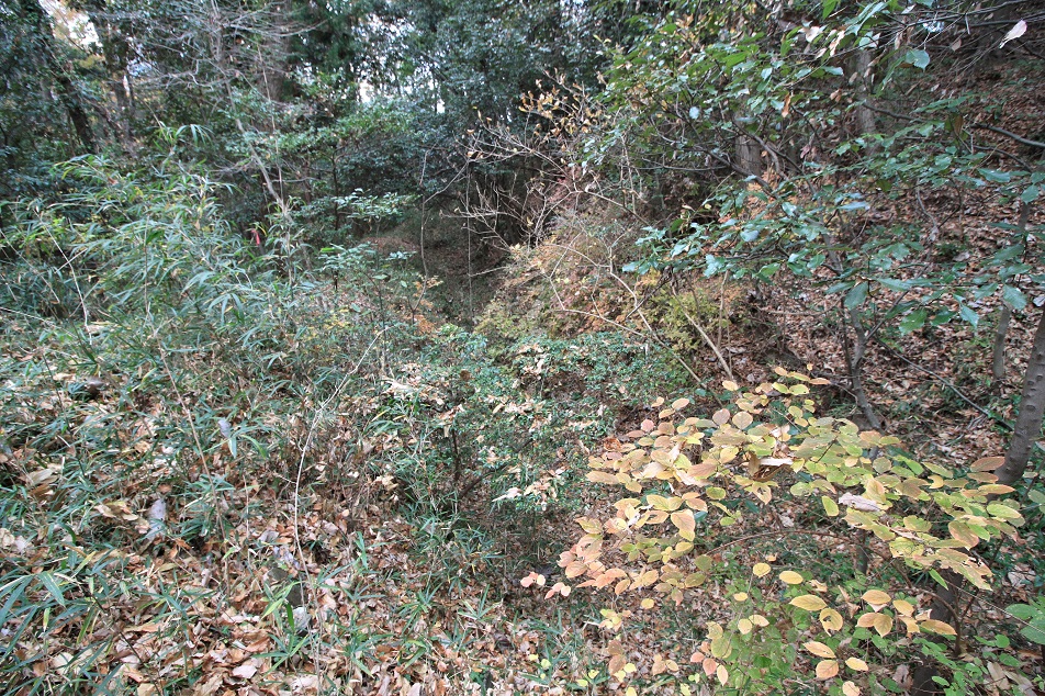 f:id:Gorgon:20210314110520j:plain