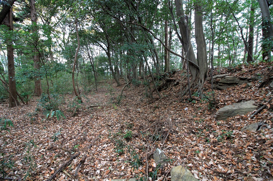 f:id:Gorgon:20210314111550j:plain