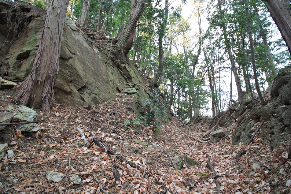 f:id:Gorgon:20210314112305j:plain