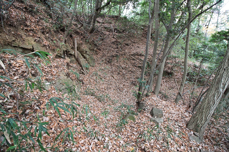 f:id:Gorgon:20210314113132j:plain