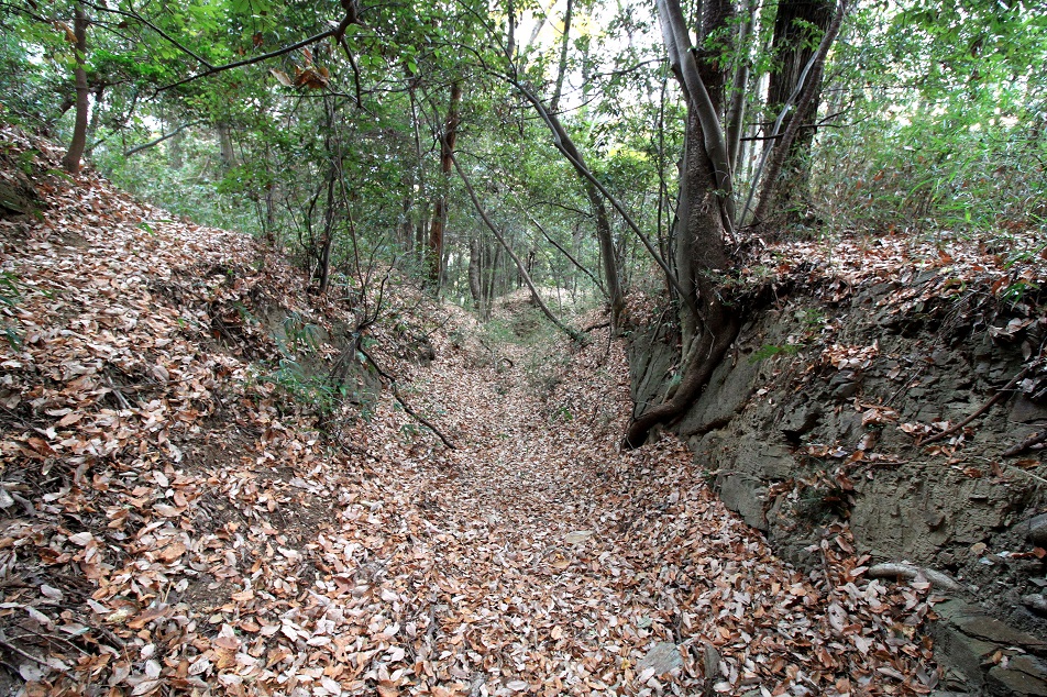 f:id:Gorgon:20210314113627j:plain