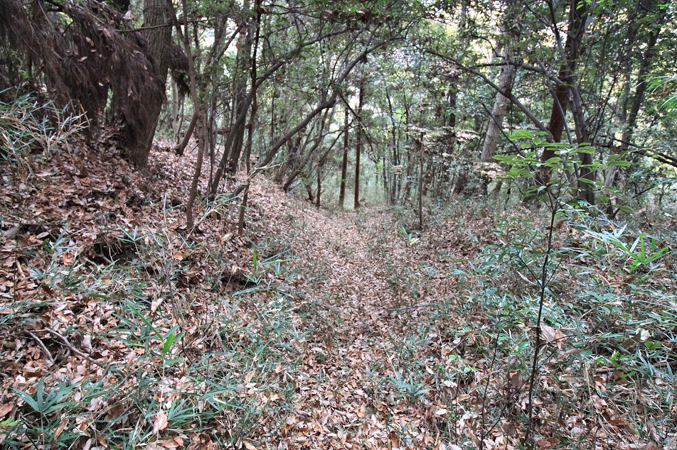 f:id:Gorgon:20210314113841j:plain